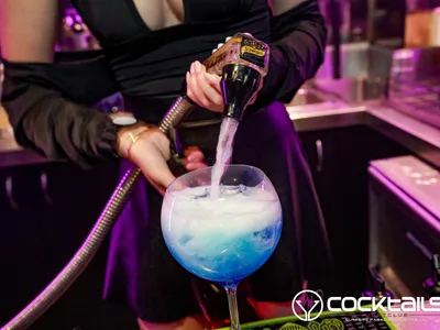 A professional photo of guests enjoying themselves at Cocktails Nightclub from our gallery.