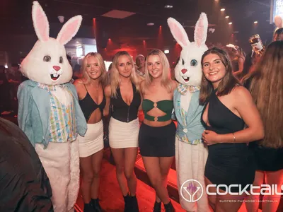 A professional photo of guests enjoying themselves at Cocktails Nightclub from our gallery.