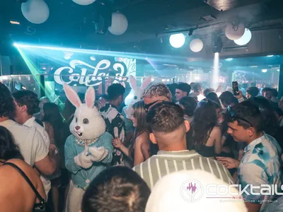 A professional photo of guests enjoying themselves at Cocktails Nightclub from our gallery.