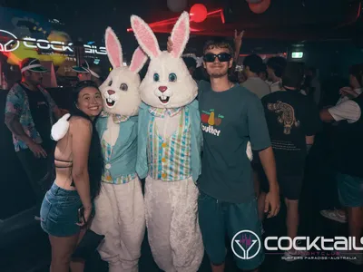 A professional photo of guests enjoying themselves at Cocktails Nightclub from our gallery.