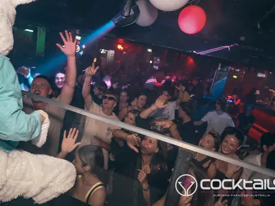 A professional photo of guests enjoying themselves at Cocktails Nightclub from our gallery.