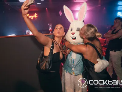 A professional photo of guests enjoying themselves at Cocktails Nightclub from our gallery.