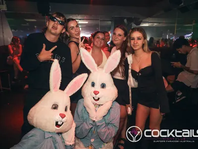 A professional photo of guests enjoying themselves at Cocktails Nightclub from our gallery.