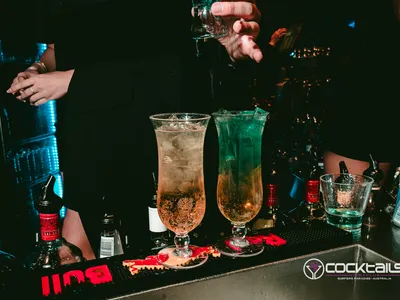 A professional photo of guests enjoying themselves at Cocktails Nightclub from our gallery.