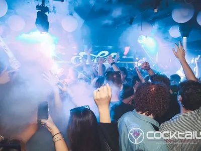 A professional photo of guests enjoying themselves at Cocktails Nightclub from our gallery.