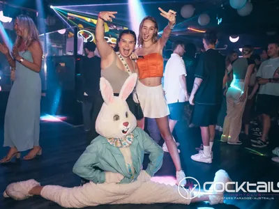 A professional photo of guests enjoying themselves at Cocktails Nightclub from our gallery.