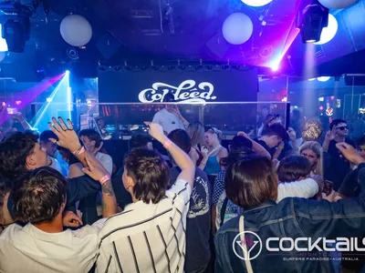 A professional photo of guests enjoying themselves at Cocktails Nightclub from our gallery.