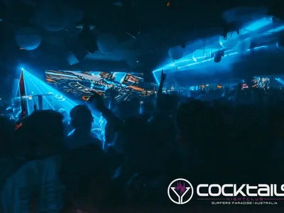 A professional photo of guests enjoying themselves at Cocktails Nightclub from our gallery.